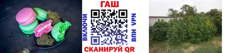 нарко площадка состав  OMG вход  Красавино  Canna-Cookies марихуана 