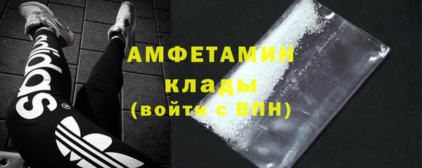 шишки Белокуриха