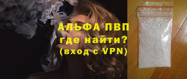шишки Белокуриха