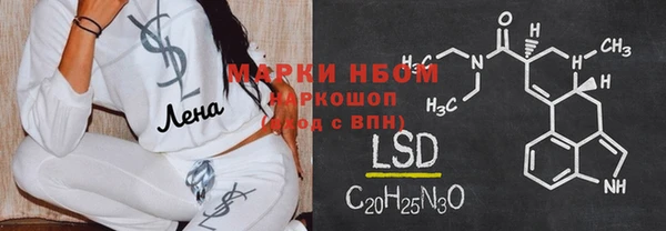 шишки Белокуриха