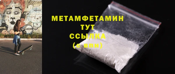 шишки Белокуриха