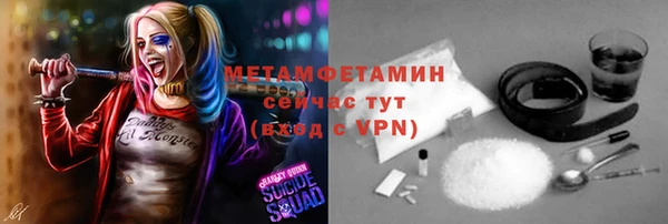 шишки Белокуриха