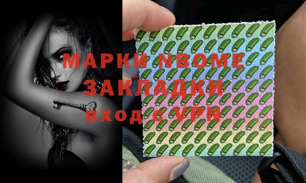 шишки Белокуриха