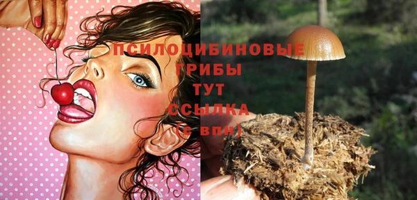 стафф Беломорск