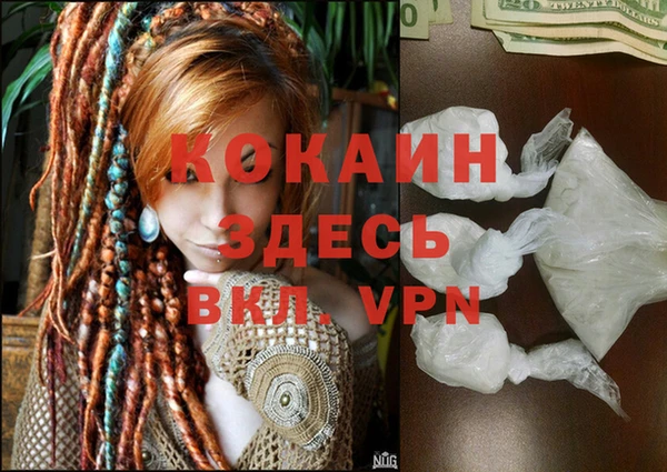 шишки Белокуриха