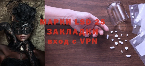 шишки Белокуриха