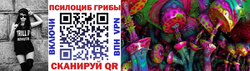 наркотики  площадка официальный сайт  KRAKEN онион  Псилоцибиновые грибы прущие грибы  Красавино 